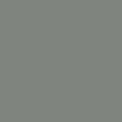 Duxbury Gray (HC-163) - Paint Sample | Samplize