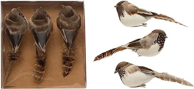 Creative Co-Op Feather Bird Clip-On Ornaments in, Multicolor, Boxed Set Of 3 | Amazon (US)