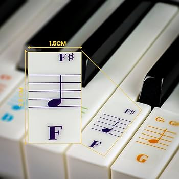Color Piano and Keyboard Stickers and Complete Color Note Piano Music Lesson and Guide Book for K... | Amazon (US)
