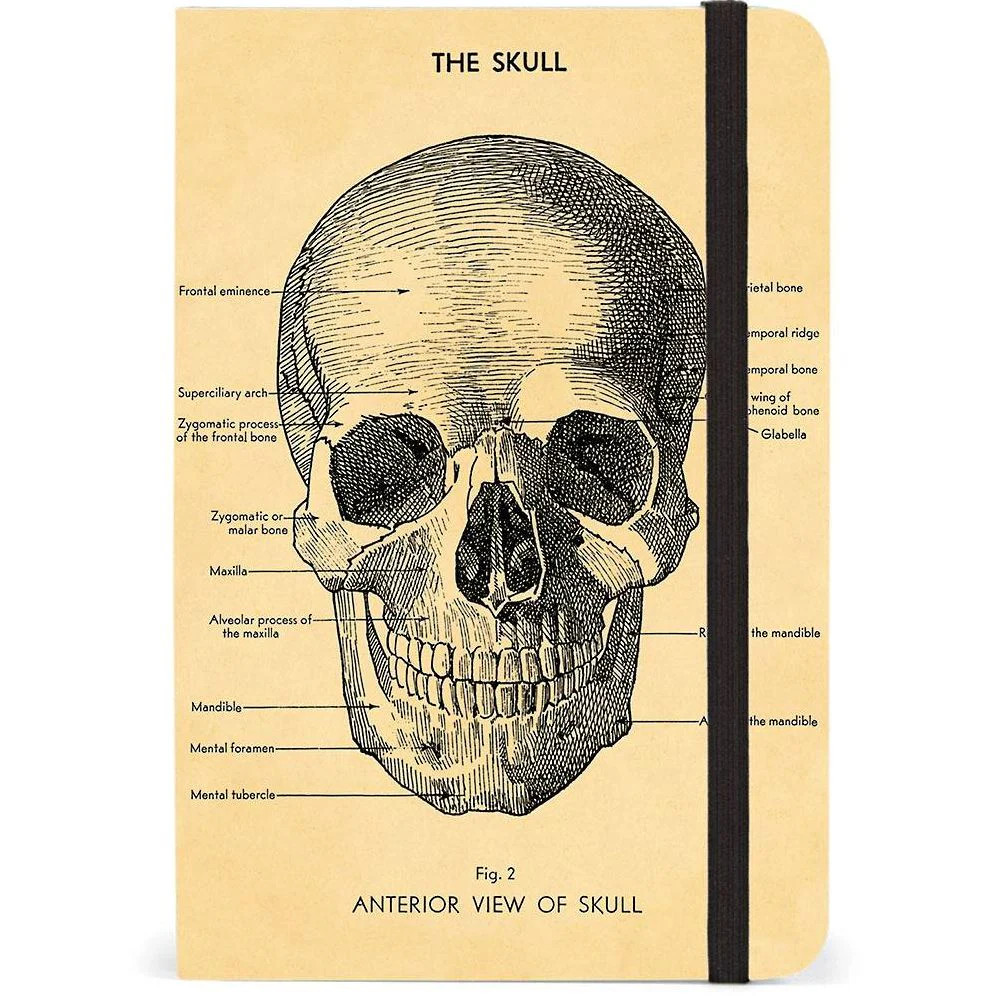 Skull Journal | Paper Source