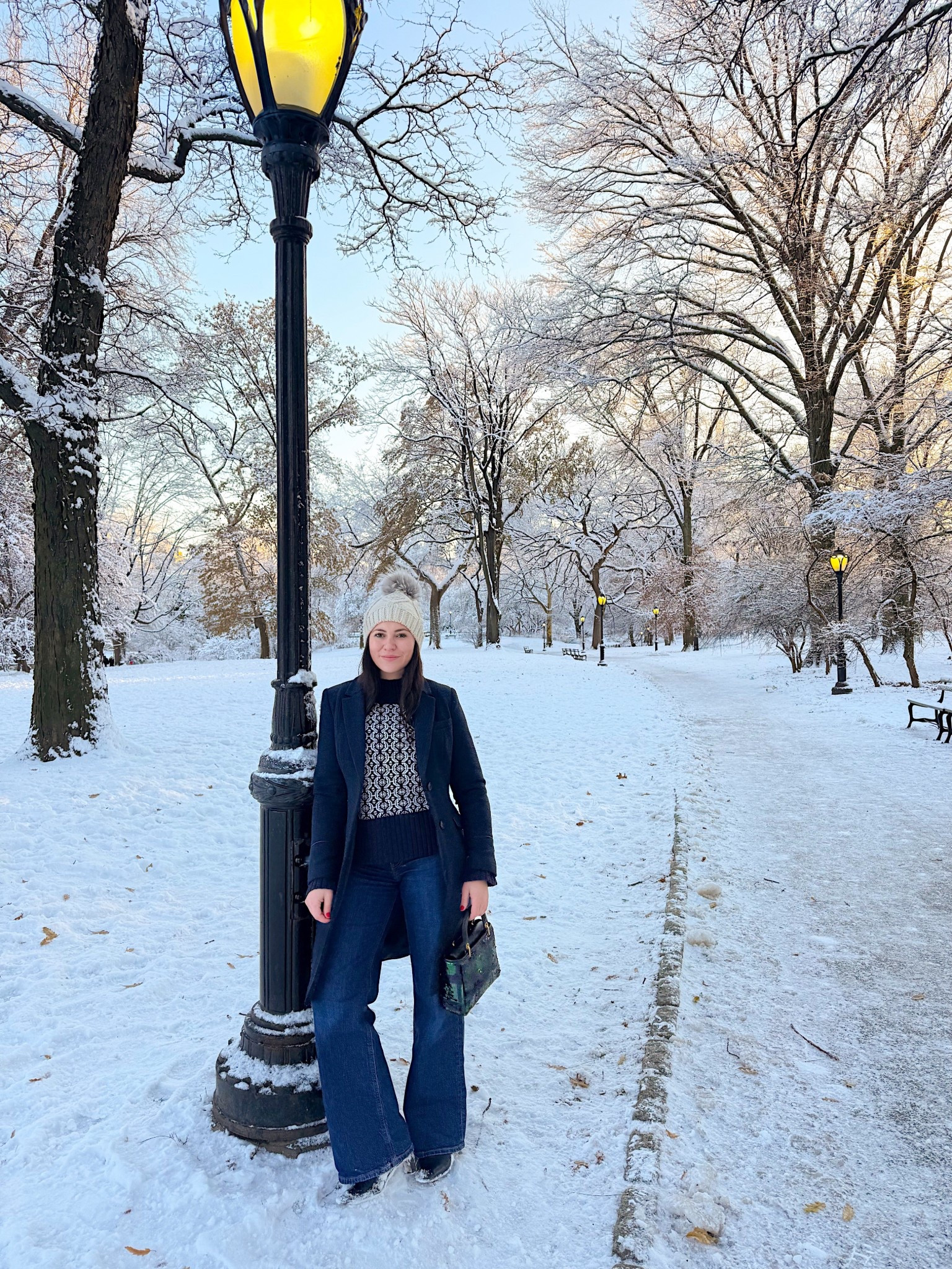 Central Park snow day! 