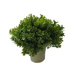 Premade Boxwood Bush by Ashland® | Michaels Stores