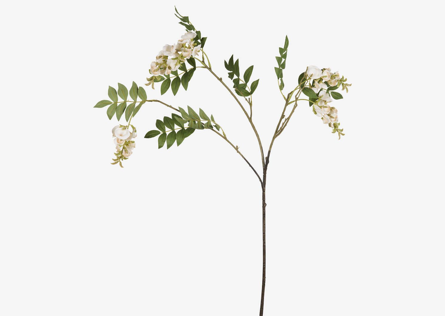 Byer Wisteria Branch Ivory | Urban Barn