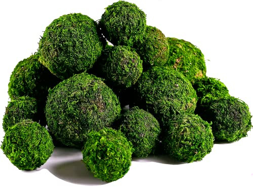 BYHER Moss Balls, 18 PCS Decorative Balls for Centerpiece Bowls - 6pcs 3.2" Natural Dried Balls+ 12pcs 2" Green Moss Balls Vase Bowl Filler (Set of 18) | Amazon (US)