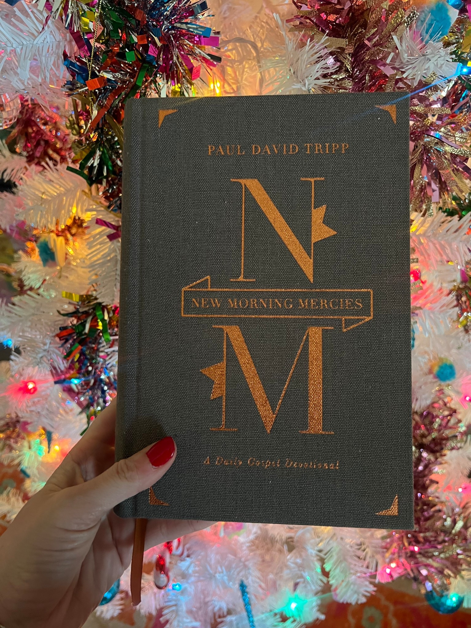 I have gotten this devo for so many friends!! 

#LTKGiftGuide #LTKHoliday #LTKSeasonal