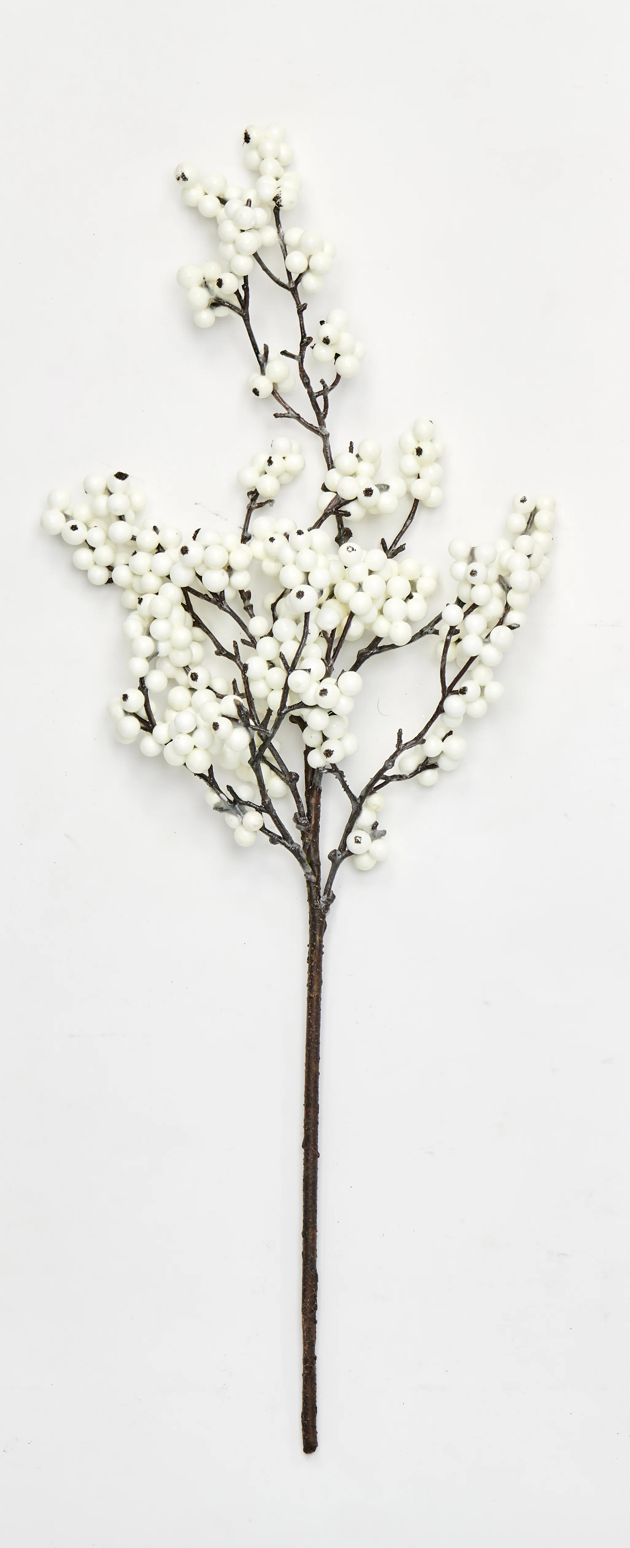 Berry Arrangement (Set of 3) | Wayfair North America