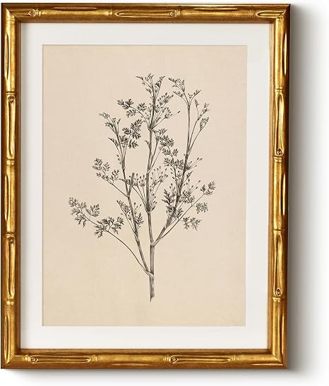 Vintage Botanical Gold Bamboo Framed Canvas Wall Art, 11x14 Inch Black White Plant Illustration S... | Amazon (US)