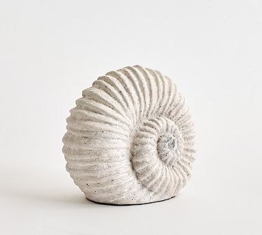 Decorative Spiral Shell | Pottery Barn (US)