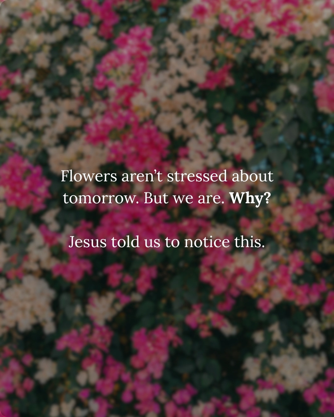Jesus talked about anxiety more than we often realize. ✝️

And one of His solutions was surprisingly simple.

He pointed to flowers. 🌸 How they grow underground first.
Unseen.
Unnoticed.
Without striving.
Without hustling.
Without constantly wondering if they’re doing enough. 🌱

And Jesus told us to pay attention.

“Consider the lilies...”

Not because flowers are the point... because trust is.

Maybe the peace we’re chasing doesn’t come from controlling every outcome. Maybe it comes from remembering who is already in control. 🙌

Friend, if you’ve been carrying the weight of everyone else’s needs...
If your mind won’t slow down...
If you feel stretched thin, overwhelmed, anxious, or exhausted...
I want you to know you’re not alone.
And I want you to know that true rest is available.
Right now.
In Jesus.

The Sunday Reset is a rhythm of returning to God again and again. A rhythm of remembering that He is God and we are not.😮‍💨 

💛 Comment DEVOTIONAL and I’ll send you my FREE 5-Day Devotional all about reconnect with God & finding true REST in Him!

And save this for the next overwhelming day. 🌸

#sundayreset #healthybyheatherbrown