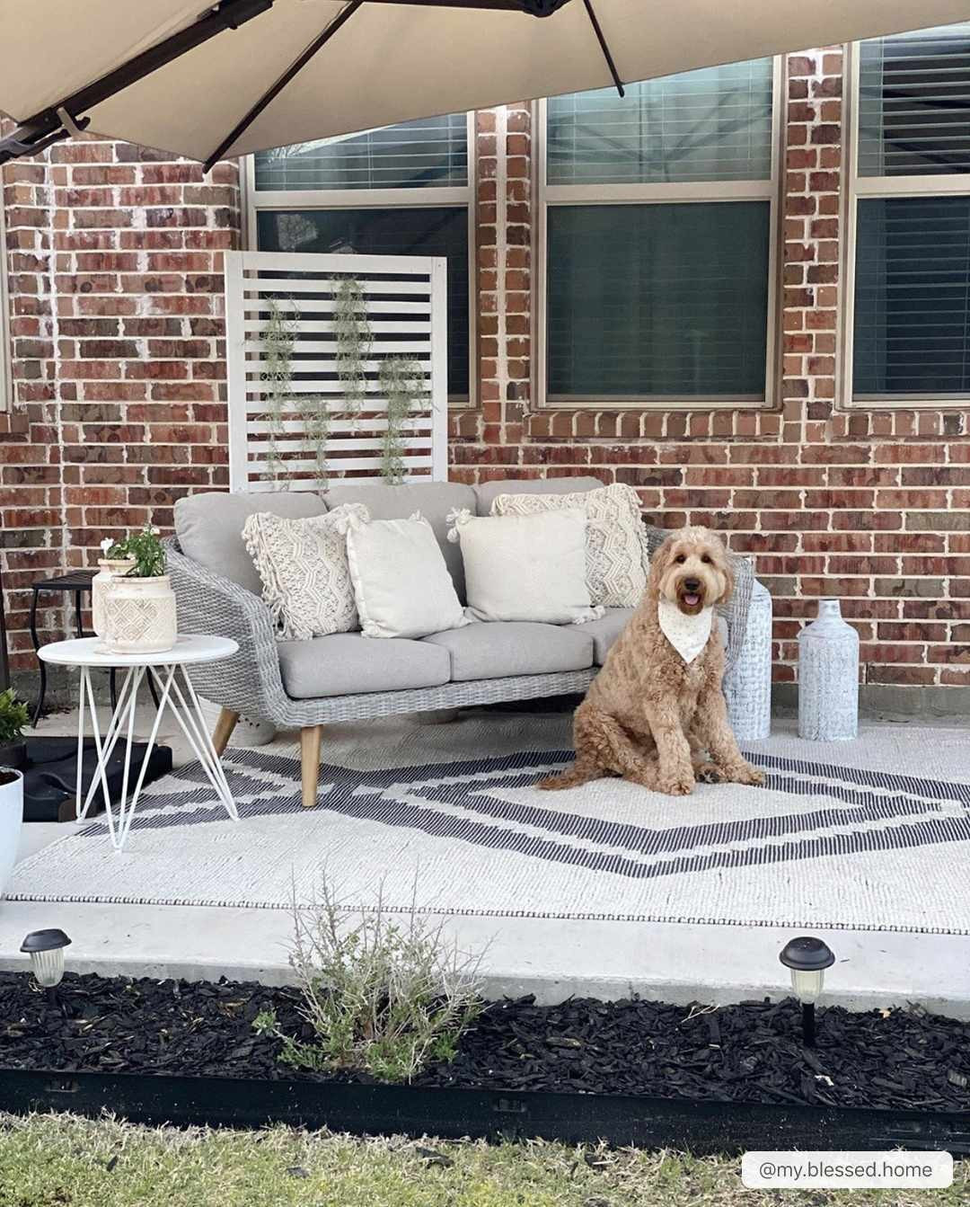 Mantee Area Rug | Boutique Rugs