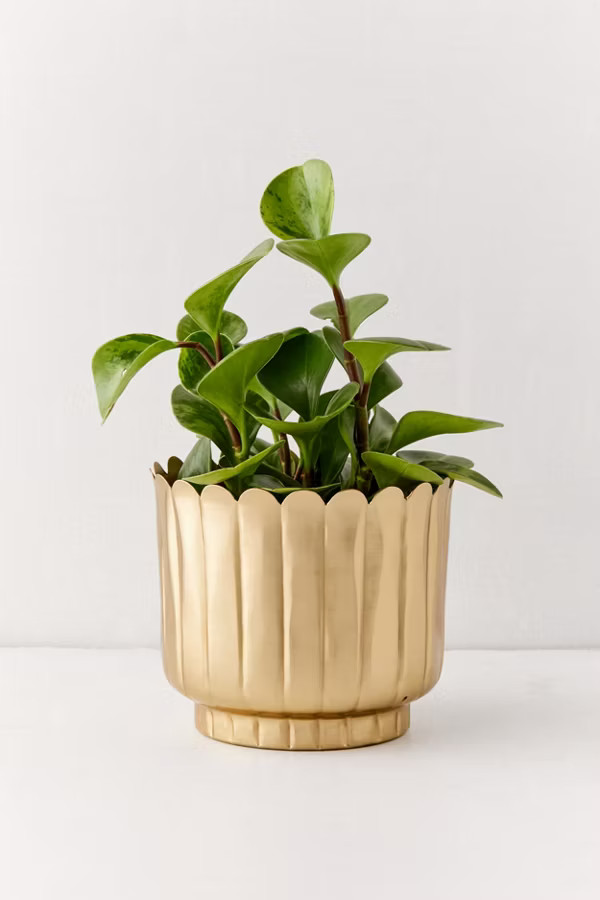 Viola Metal Planter | Urban Outfitters (US and RoW)