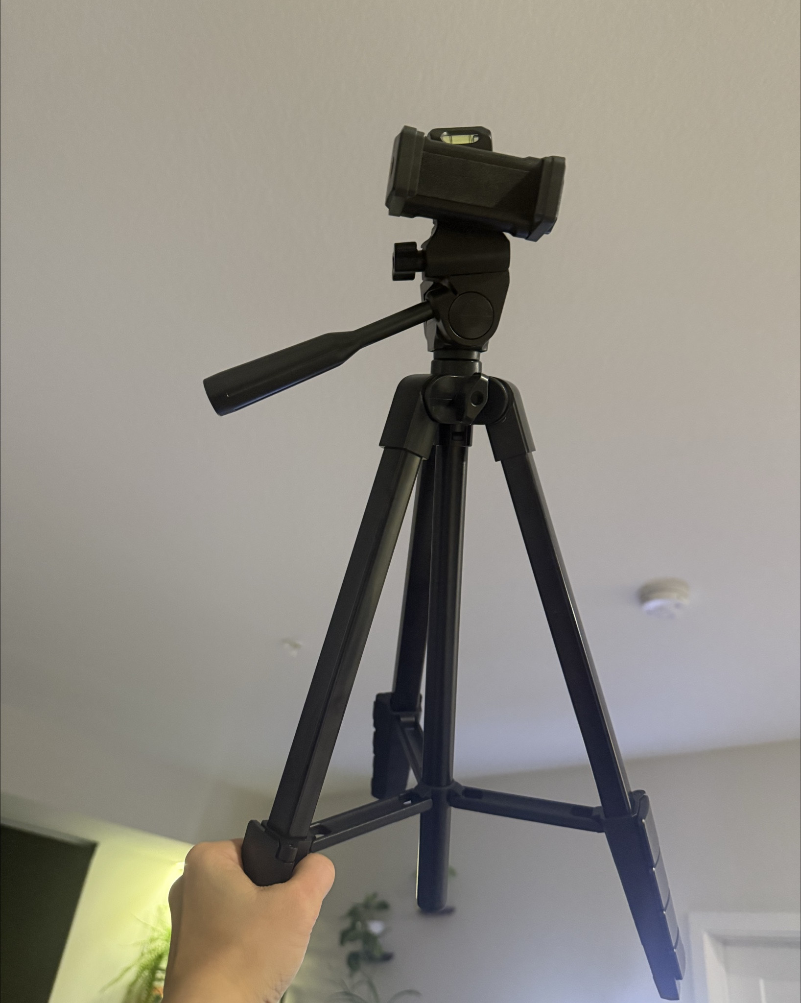 New filming equipment!!! Trying to find the balance between not spending too much money but also upgrading my content! These are both Amazon finds, I’ll have them linked as always :) 

#LTKSaleAlert #LTKFindsUnder50 #LTKHome