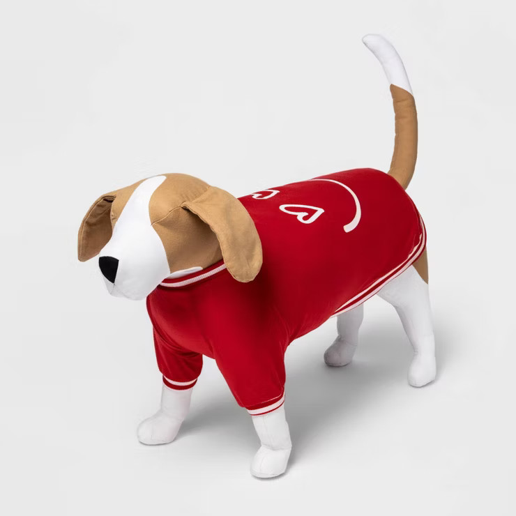 Smiley Face Dog and Cat Graphic Sweatshirt - Boots & Barkley™ | Target