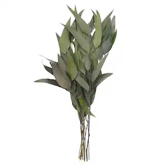 21" Green Willow Eucalyptus by Ashland® | Michaels | Michaels Stores