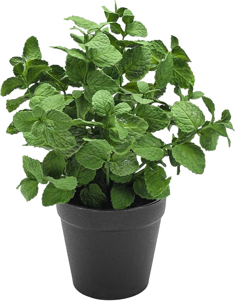 Small Fake Plants Mint Artificial Potted Plants for Home Office Bathroom Shelf Farmhouse Coffee T... | Amazon (US)