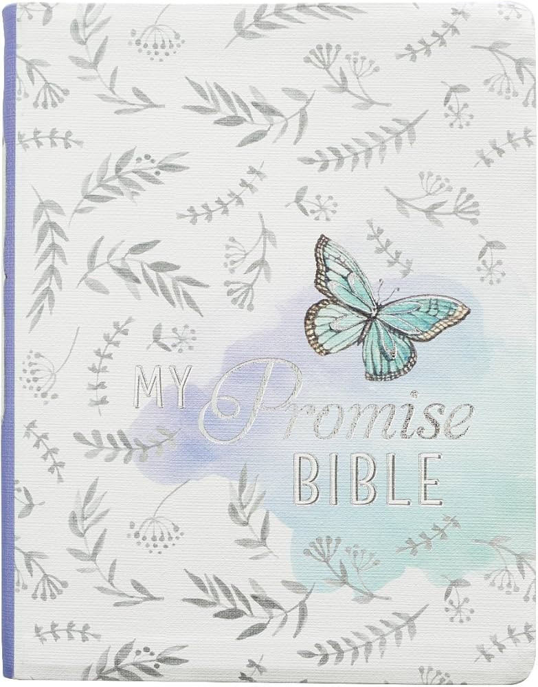 KJV Holy Bible, My Promise Bible, Faux Leather Flexcover w/Bible Tabs, Coloring Stickers, Ribbon ... | Amazon (US)