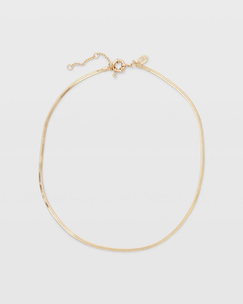 Short Thin Snake Chain Necklace | Club Monaco (Global)