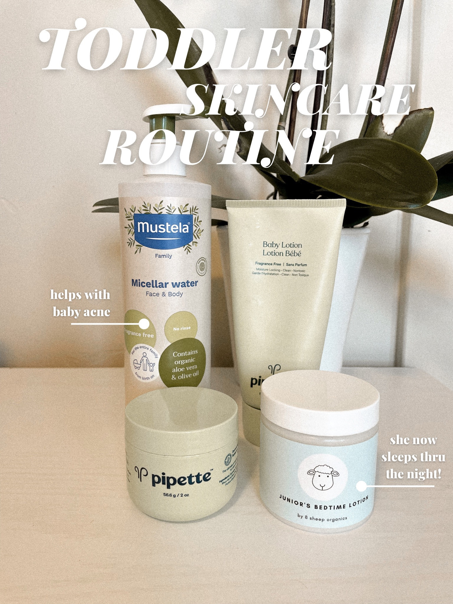 Toddler skincare routine! 
Sleepy lotion is from 8sheep Organics!

#LTKbaby #LTKkids