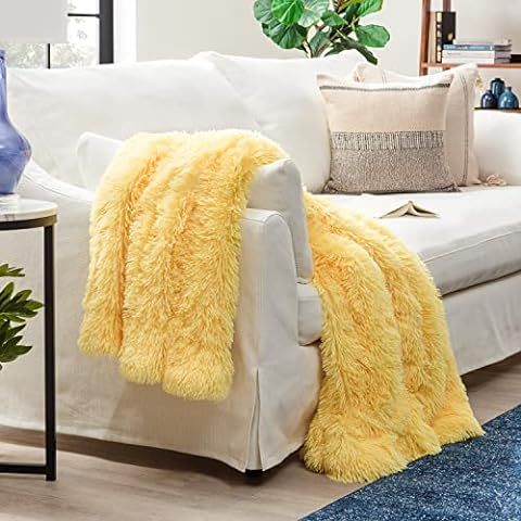 Chanasya Fuzzy Faux Fur Soft Wave Embossed Throw Blanket - Cozy and Warm Lightweight Reversible S... | Amazon (US)