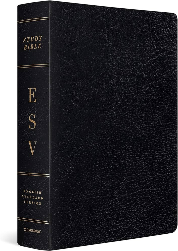 ESV Study Bible, Large Print (Genuine Leather, Black) | Amazon (US)