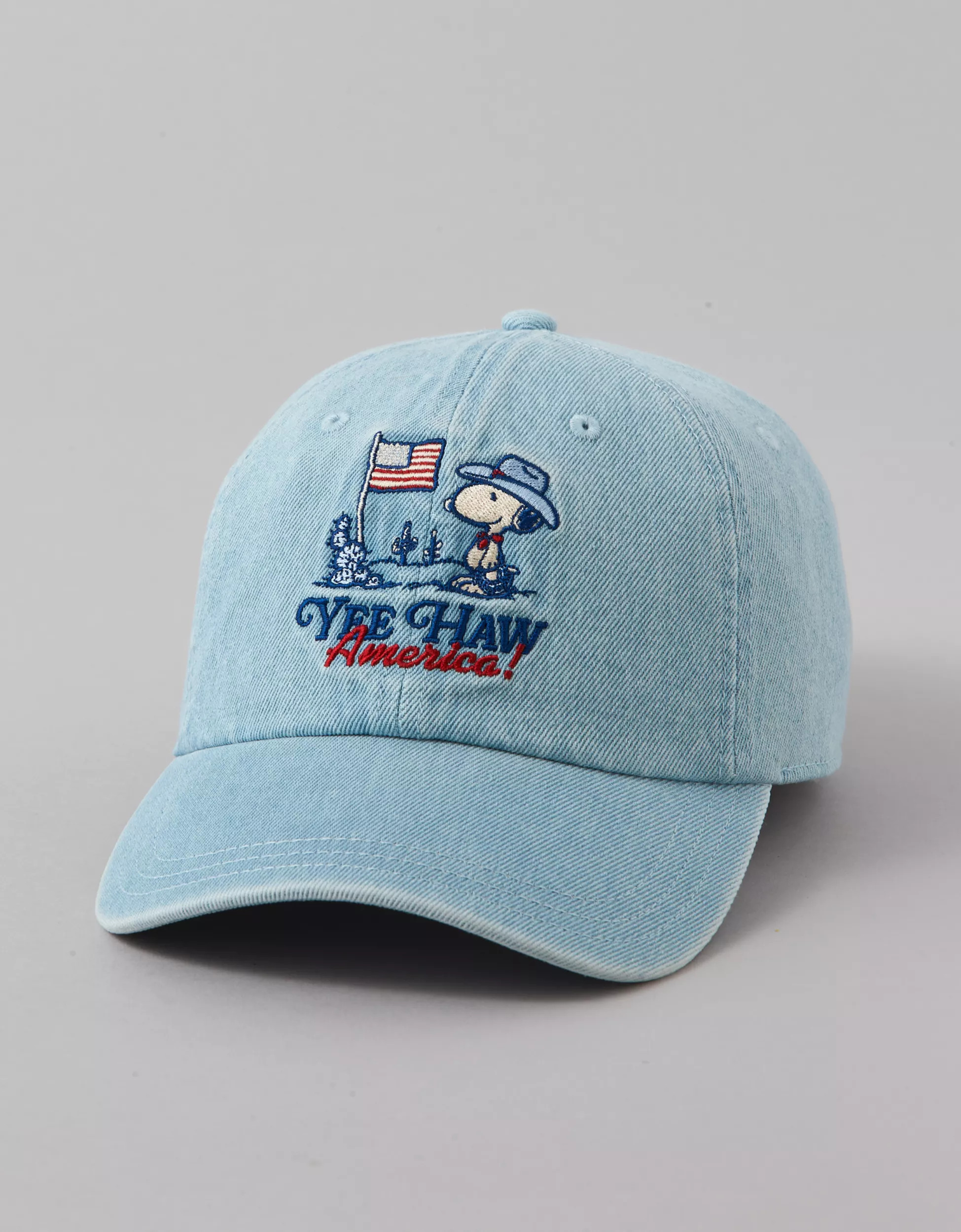 AE Snoopy Baseball Hat | American Eagle Outfitters (US & CA)