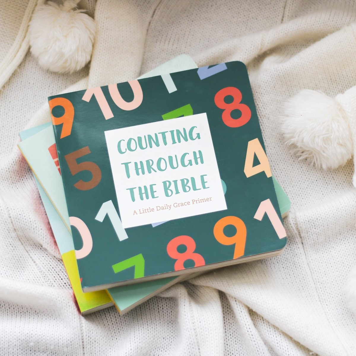 Counting Through the Bible - Board Book | The Daily Grace Co.
