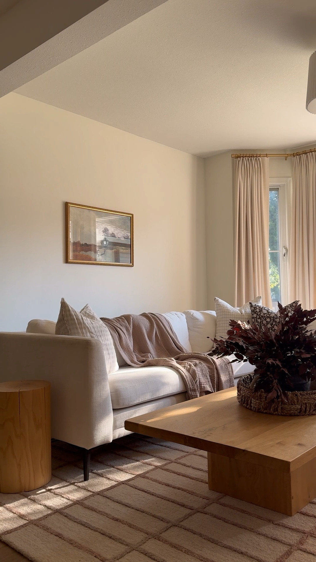 The rug that ties it all together 🤎 