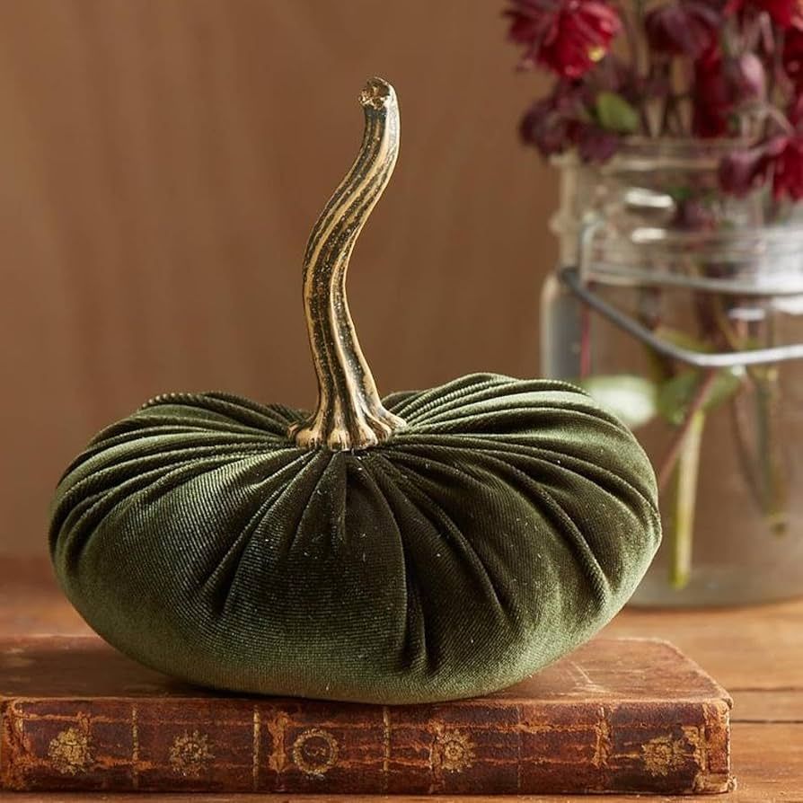 Velvet Pumkins for Decorating,Rustic Faux Velvet Pumpkins with Real Stems Fabric Pumpkins Foam Pu... | Amazon (US)