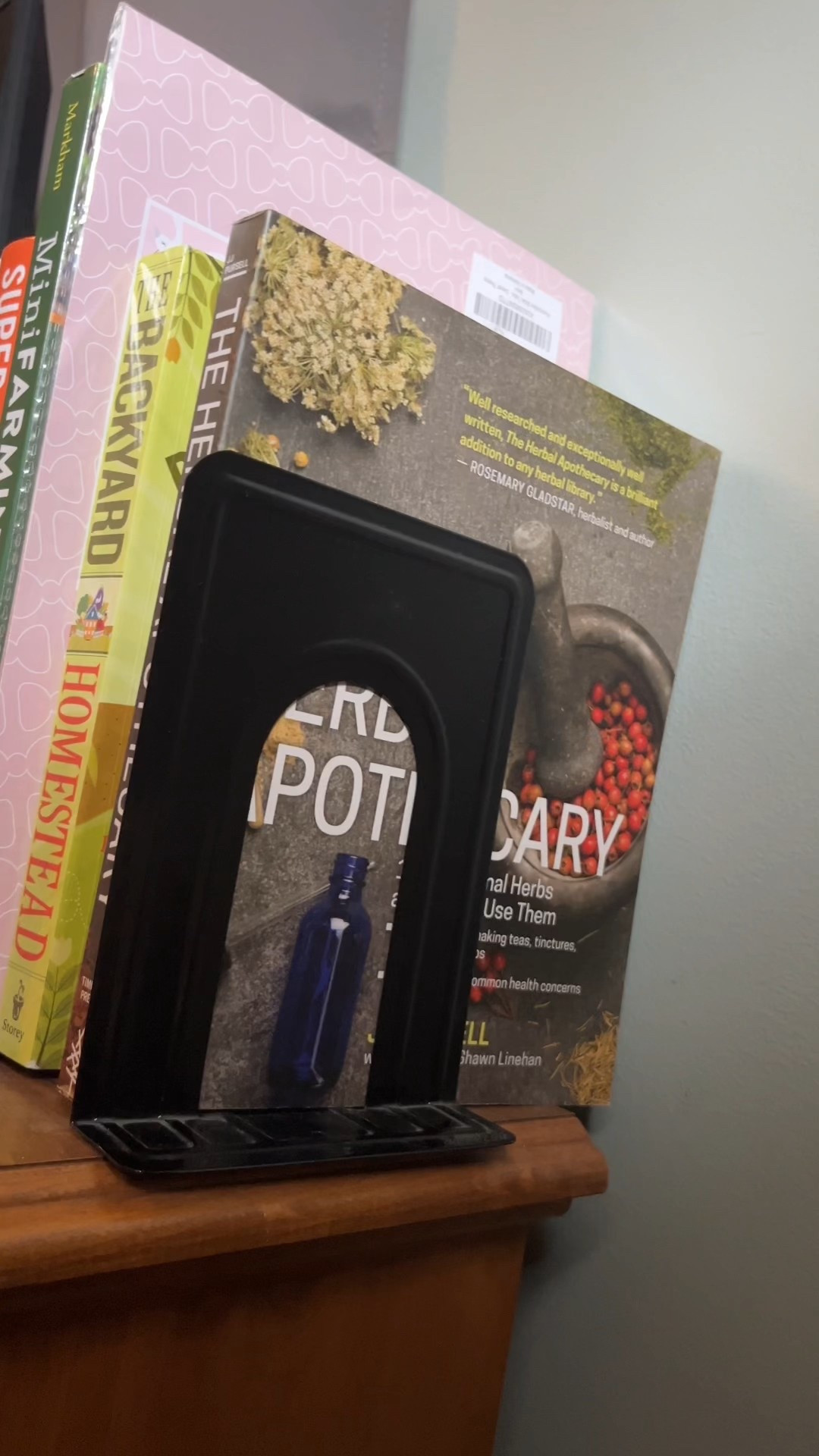 These metal bookends are a must if you want your shelves to look clean and organized. They’re sturdy enough to hold heavy books, cookbooks, and big hardcovers, and the minimalist design works with any cozy home aesthetic. Perfect for bookshelves, desk organization, or creating cute BookTok displays.


#LTKFindsUnder50 #LTKdayinmylife #LTKHome