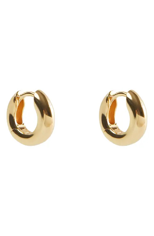 Argento Vivo Sterling Silver Small Chubby Huggie Hoop Earrings in Gold at Nordstrom | Nordstrom