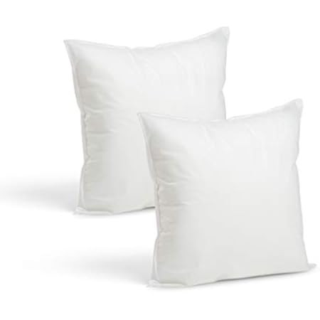 22*22 Pillow Insert Set of 2, Decorative Square Throw Pillow Set, Indoor Couch Pillows for Sofa, Bed | Amazon (US)