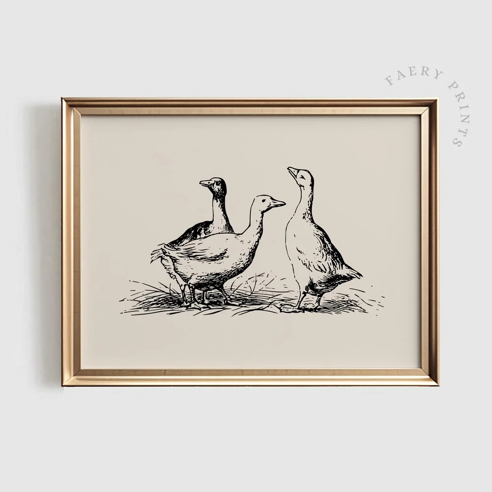 Whitepeak Art Goose Sketch Print | Vintage Wall Art | Vintage Nursery Wall Art | Rustic Ducks Wal... | Walmart (US)