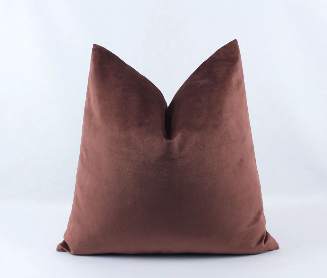 Dusty Rose Velvet Pillow Cover, Rose Pink Pillow Case, Rose Gold Pillow, Terracotta Lumbar Pillow... | Etsy (US)