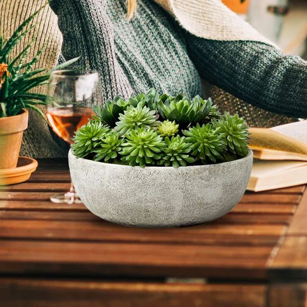 7'' Faux Succulent Plant in Stone Pot | Wayfair North America