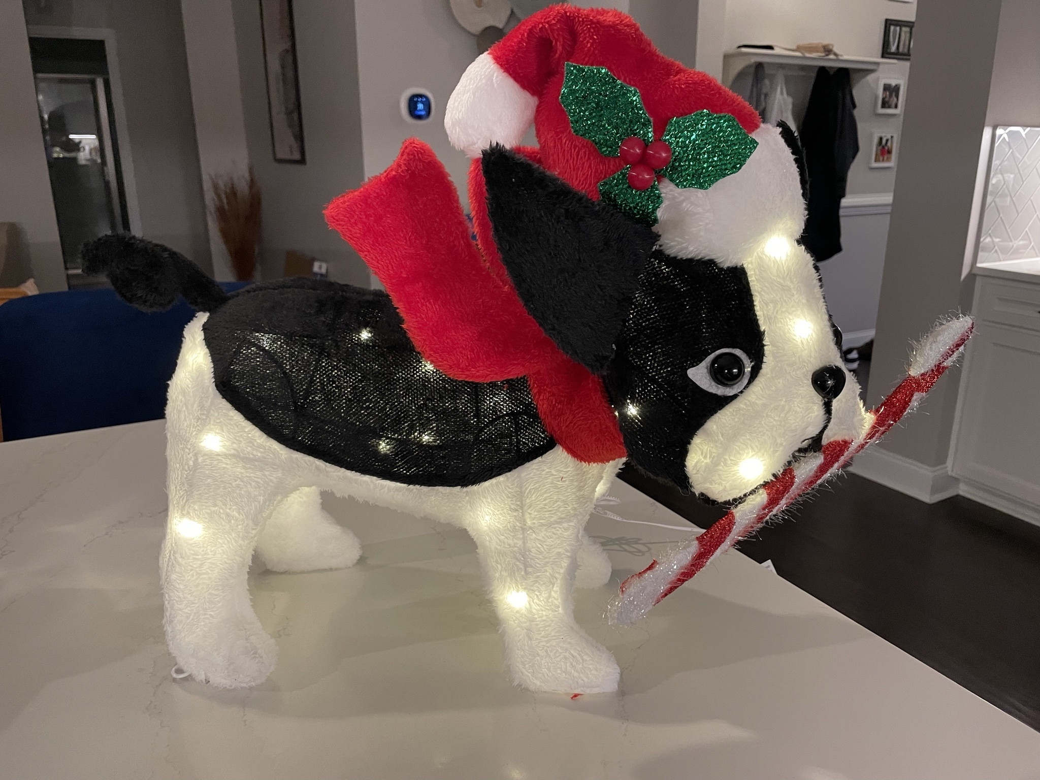 LED Dog with Candy Cane - Boston Terrier 

Dog novelty sculpture light

•	Warm white LED light
•	Includes ground stakes and hook
•	Great for both indoor and outdoor use

#LTKHolidaySale #LTKSeasonal