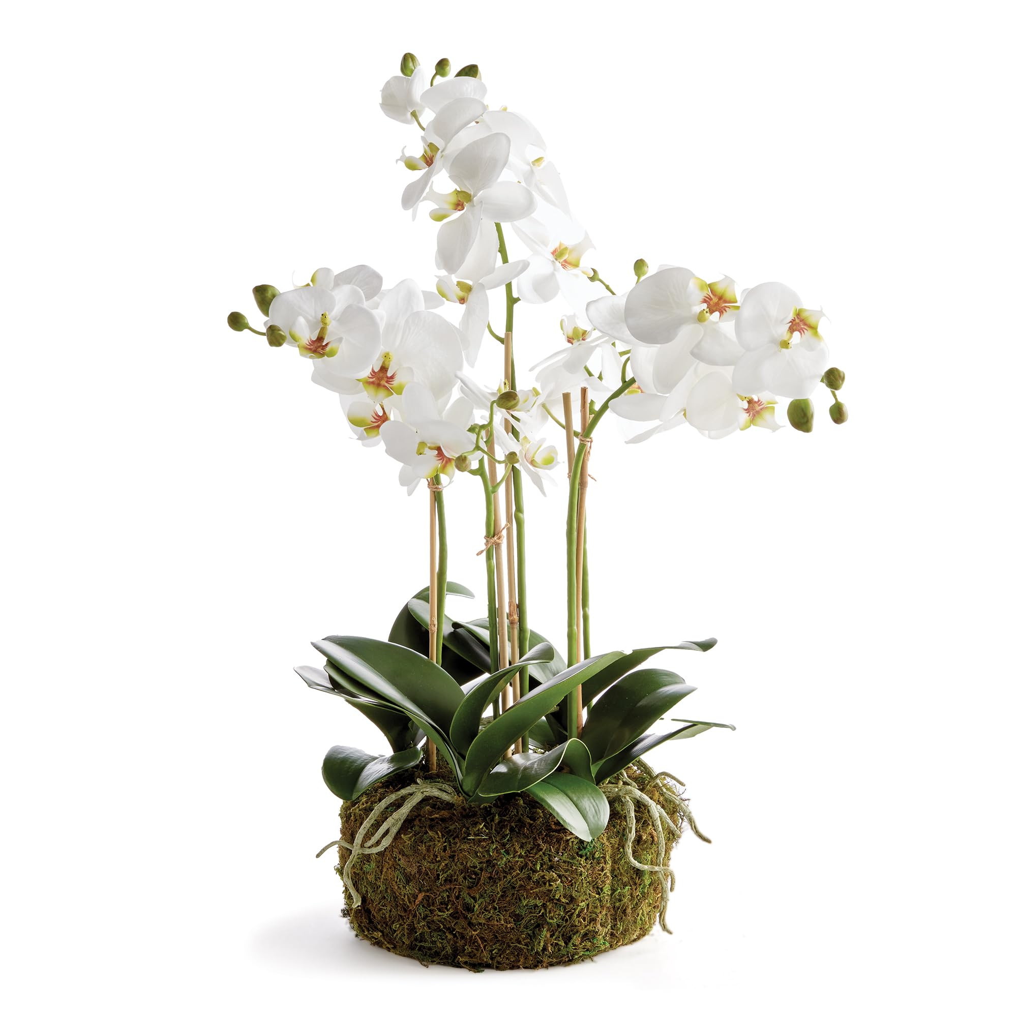 Napa Home & Garden Phalaenopsis Orchid Bowl Artificial Plant Drop-in White | Amazon (US)