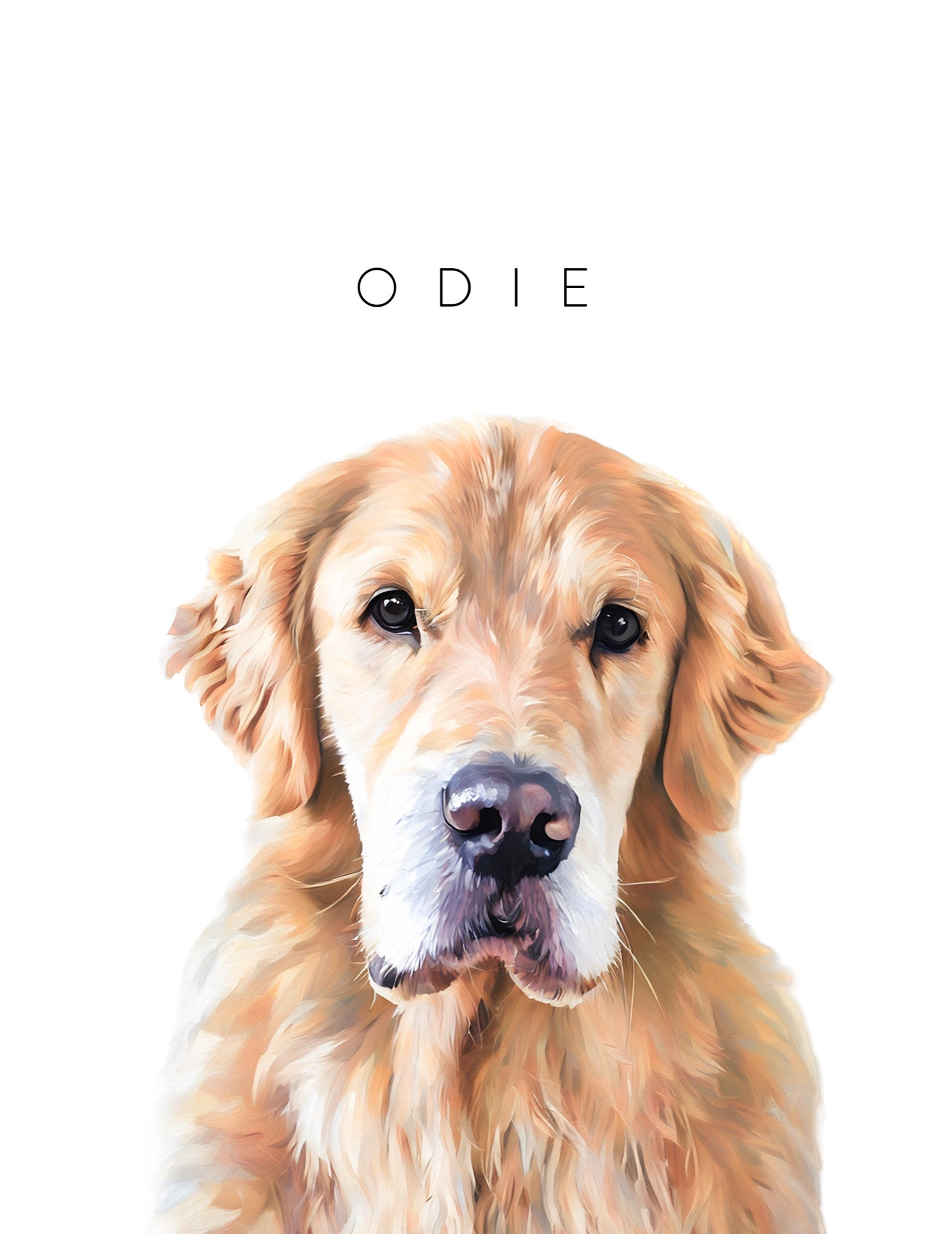 Custom pet portrait print from @esty. Super cute, downloadable, multiple sizes. 

#LTKFindsUnder50 #LTKStyleTip #LTKHome