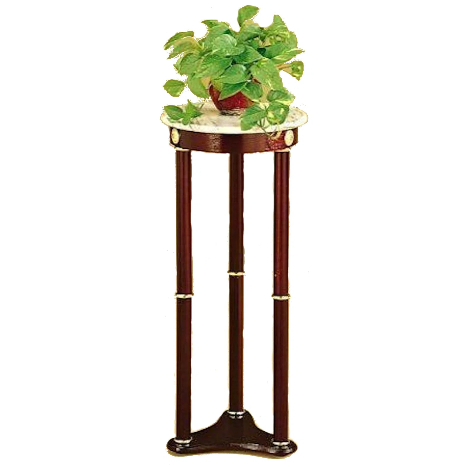 Canora Grey Noack Round Pedestal Plant Stand & Reviews | Wayfair | Wayfair North America