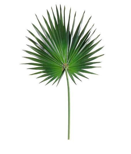 Full Faux Fan Palm | Megan Molten