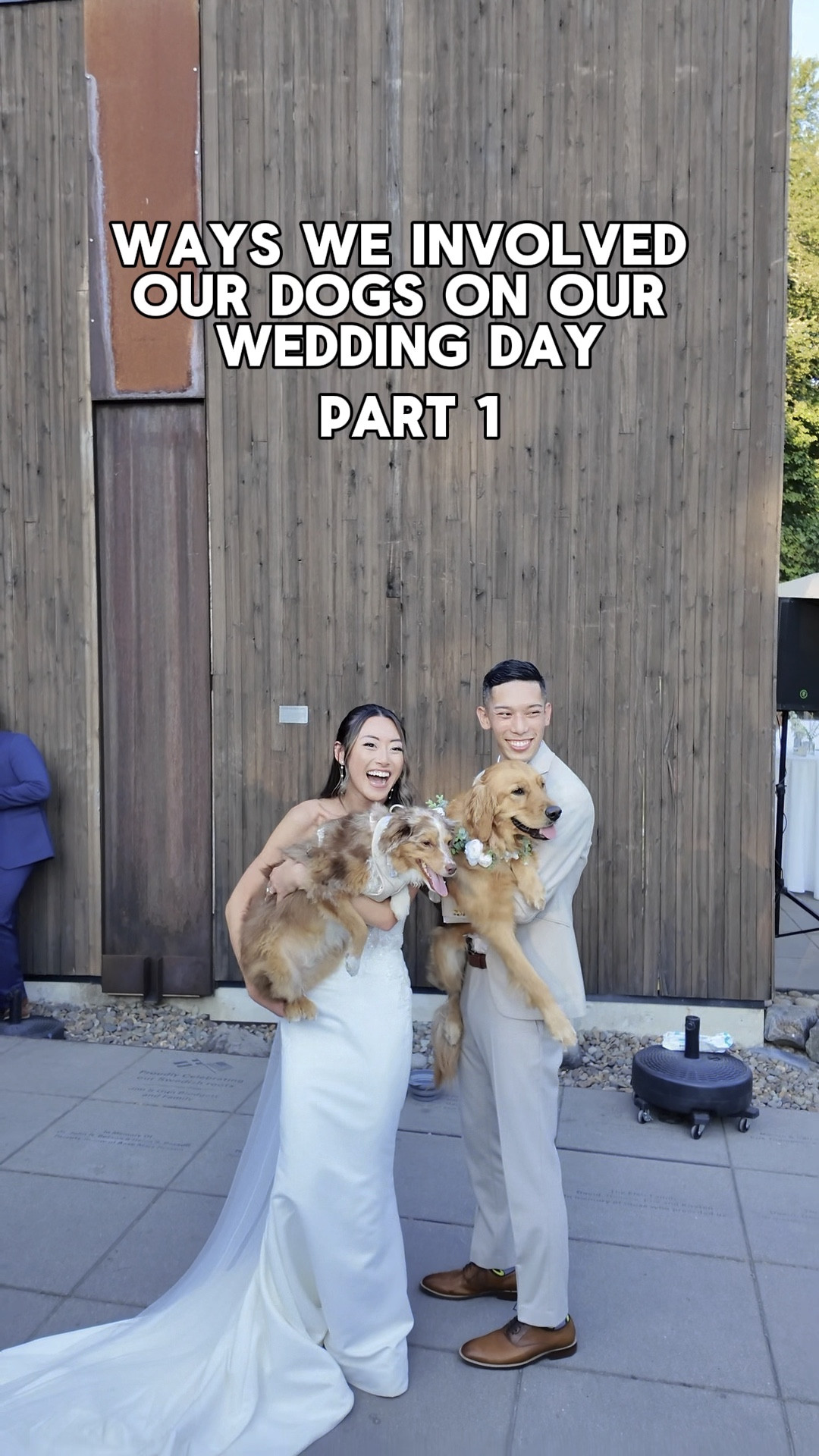 How to involve your dogs on your wedding day - PART 1 

1. Custom bar sign 
2. Custom drink stirrers 
3. Custom napkins 
4. Custom cake figurines 

#LTKWedding #LTKFamily