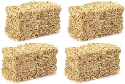 JGT Thanksgiving Fall Harvest Autumn Decorations Mini Hay Bales ~ (50 Piece Fabric Ahornblatter S... | Amazon (US)