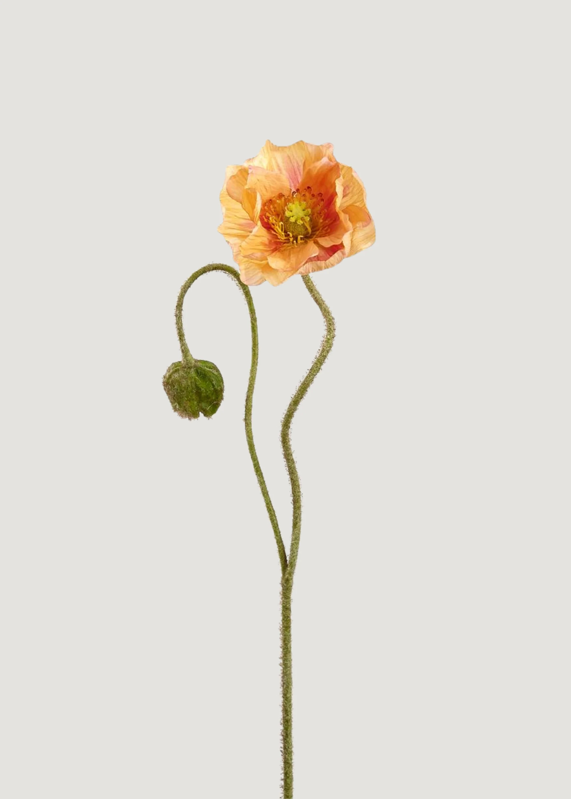 Coral Artificial Poppy Flower Stem - 31" | Afloral