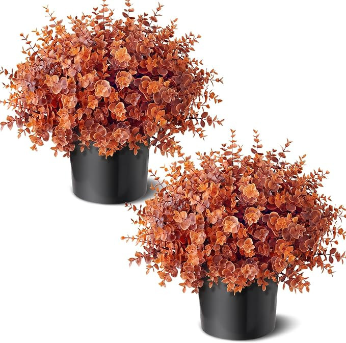 2 Pack Artificial Fall Eucalyptus Topitary Ball Trees for Front Porch, 17" Fake Eucalyptus Topiar... | Amazon (US)