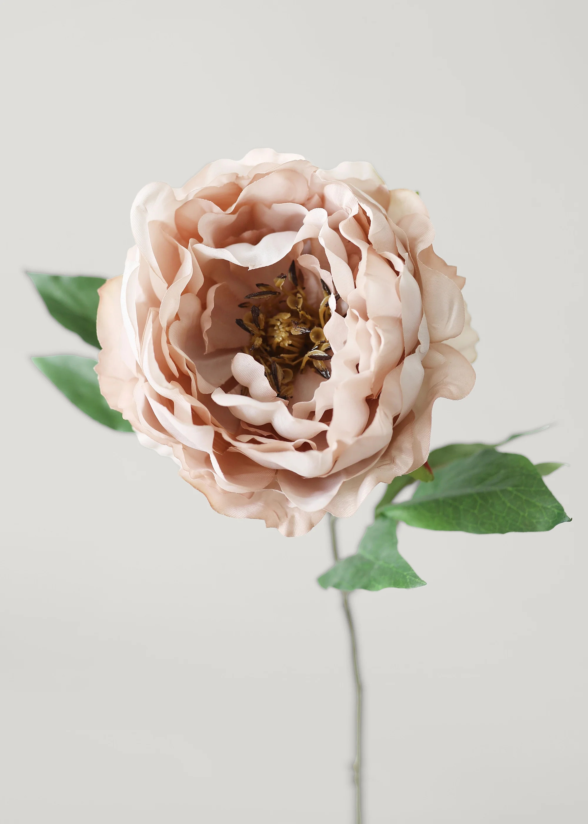Taupe Mauve Peony Stem | Faux Wedding Flowers | Afloral | Afloral