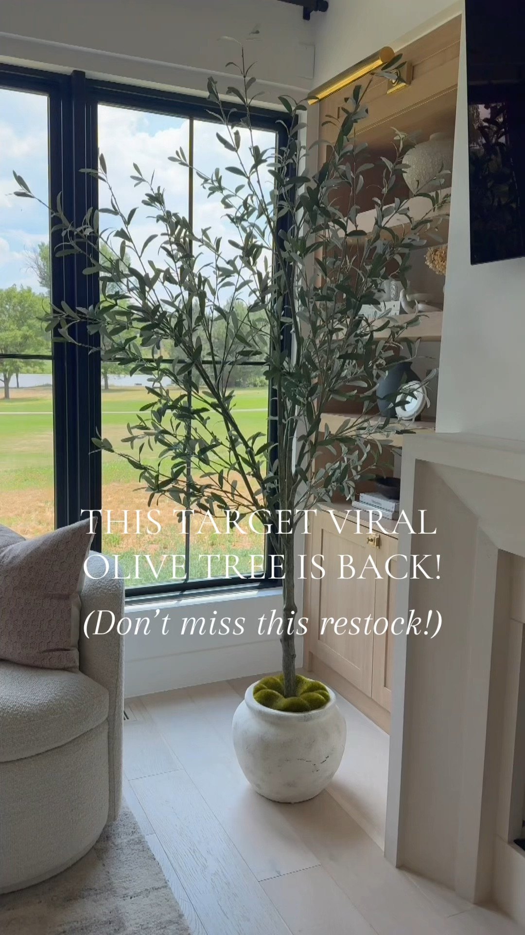 Our viral olive tree comes in and out of stock constantly and guess what? It’s BACK! I looked at my living room and felt like something was missing in this corner. I loved how it looked before, but I knew it would look even better with an accent piece. Then I found this olive tree, and I swear it's the best purchase I've ever made. My living room looks so much better now, it's amazing how one tree can make it feel more alive. 

#LTKhome #LTKVideo