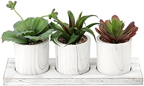 Artificial Succulent Plants 3 Pcs Small Faux Succulents in Pots Fake Succulent Plants with White Woo | Amazon (US)