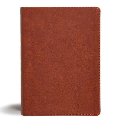 CSB Study Bible, Personal Size, Digital Study Edition, Burnt Sienna Leathertouch - by  Csb Bibles by Holman (Leather Bound) | Target