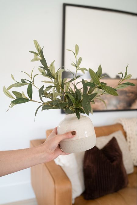 Love this little potted olive tree decor piece from Walmart! 



#LTKstyletip #LTKfindsunder50 #LTKhome