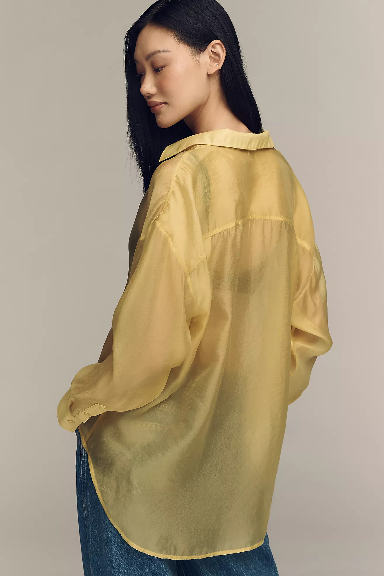 By Anthropologie Sheer Long-Sleeve Buttondown | Anthropologie (US)