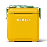 Igloo 11 Qt Tag Along Too Strapped Picnic Style Cooler | Amazon (US)